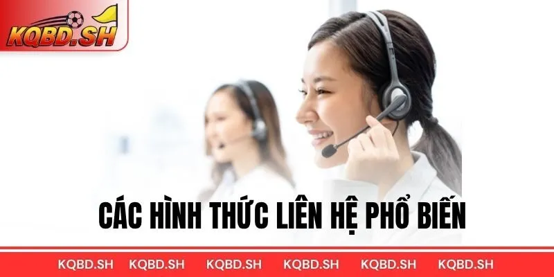 Các hình thức liên hệ phổ biến